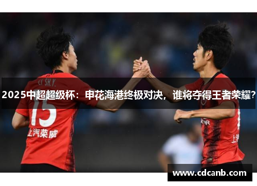 2025中超超级杯:申花海港终极对决,谁将夺得王者荣耀? 2025中超超级杯:申花海港终极对决,谁将夺得王者荣耀?