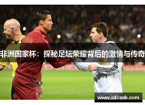 非洲国家杯:探秘足坛荣耀背后的激情与传奇 非洲国家杯:探秘足坛荣耀背后的激情与传奇
