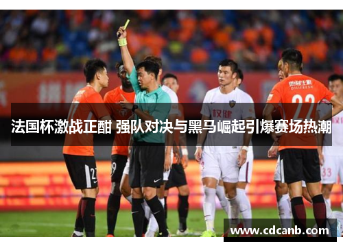 法国杯激战正酣 强队对决与黑马崛起引爆赛场热潮 法国杯激战正酣 强队对决与黑马崛起引爆赛场热潮